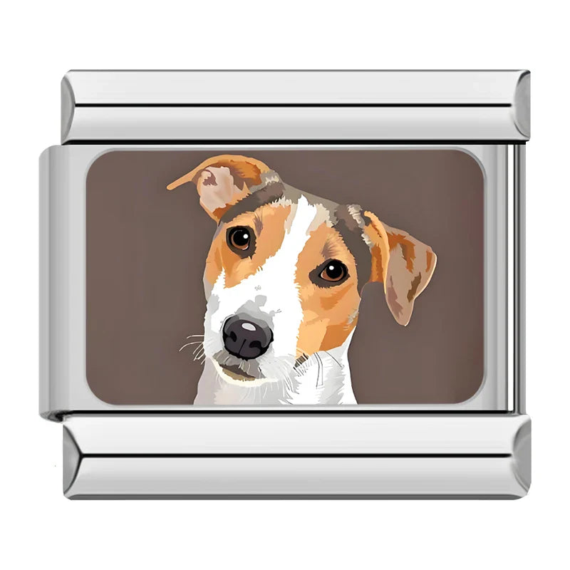 Animals Cat Dog TZ057