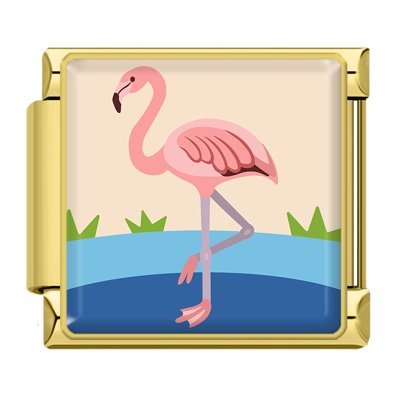 Animals Penguin Chameleon Woodpecker TZ154