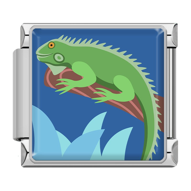 Animals Penguin Chameleon Woodpecker TZ154