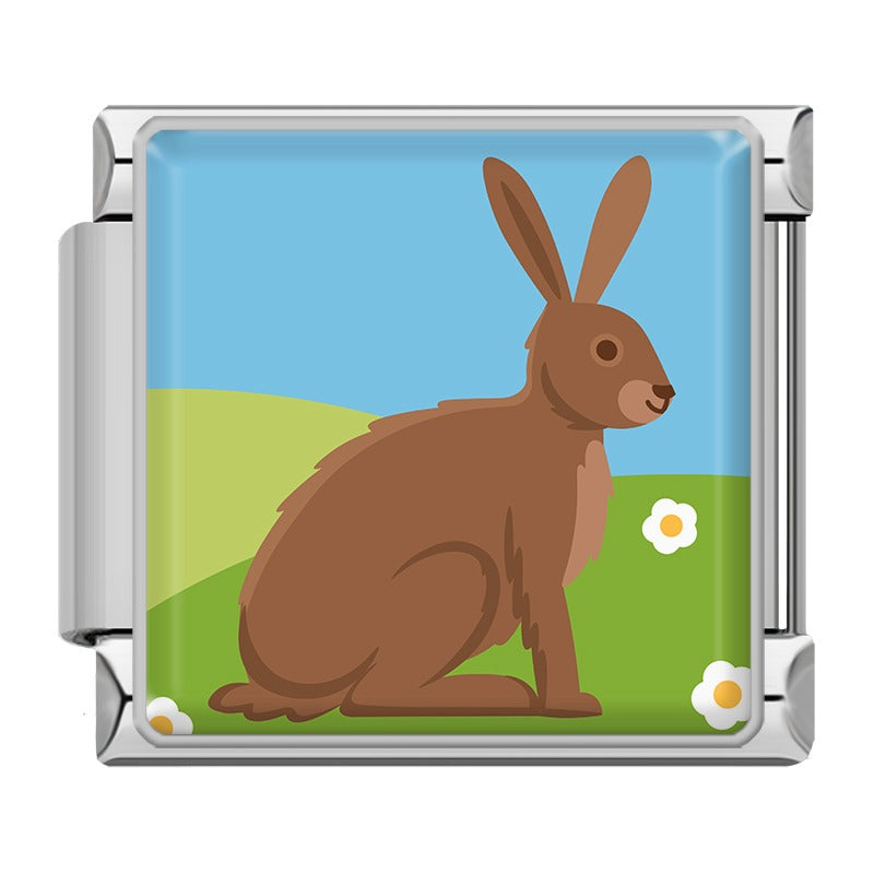 Animals Penguin Chameleon Woodpecker TZ154