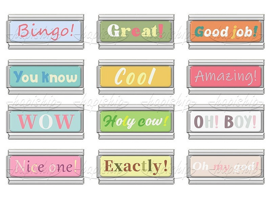 Pet Phrase Amazed Cool Wow  Bingo  TZ204 -Silver