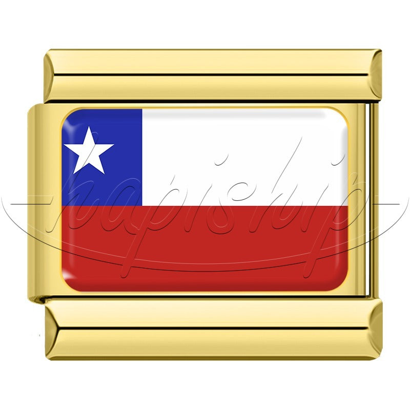 National Flag Golden  TZ015-Gold