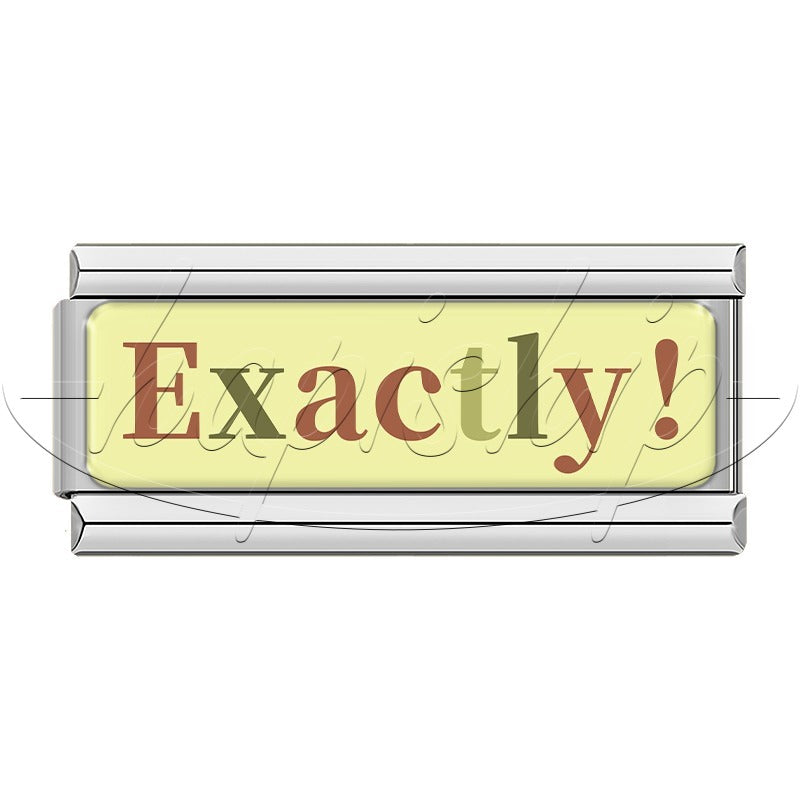 Pet Phrase Amazed Cool Wow  Bingo  TZ204 -Silver