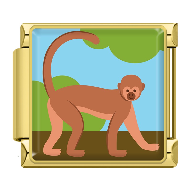 Animals Penguin Chameleon Woodpecker TZ154