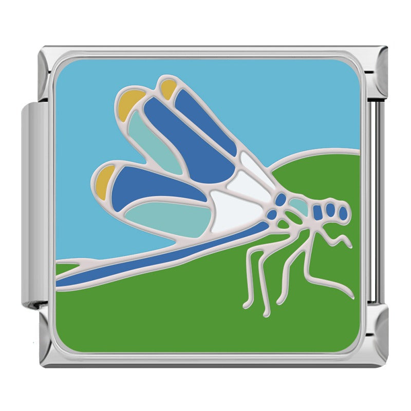 Flower Fairy Dragonfly Cicada Snail  DJ1746