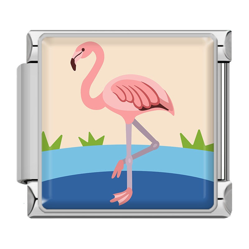 Animals Penguin Chameleon Woodpecker TZ154