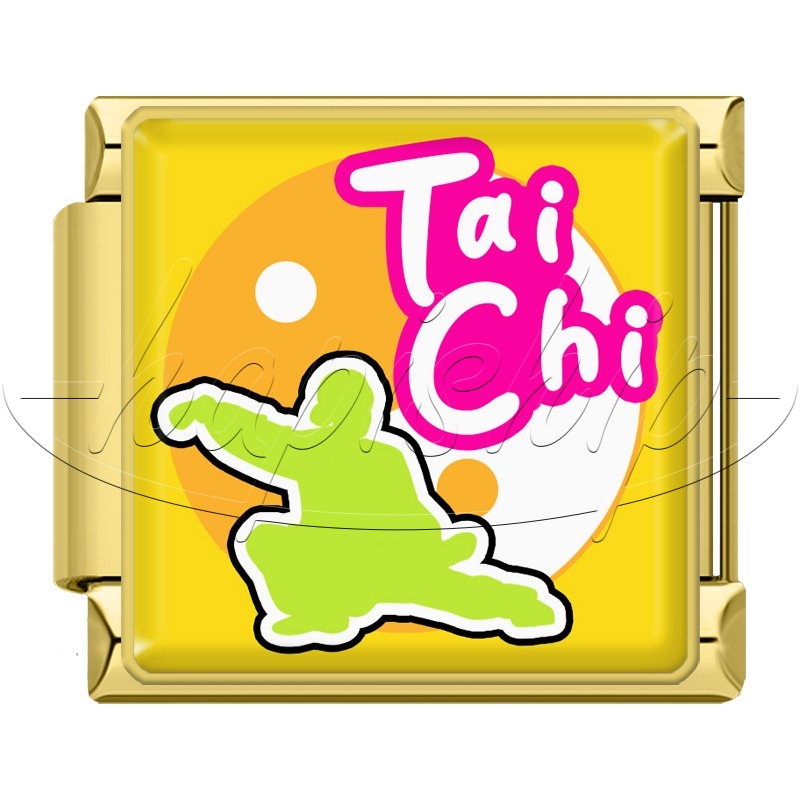 Sports Taichi Spike PIngpong TZ186