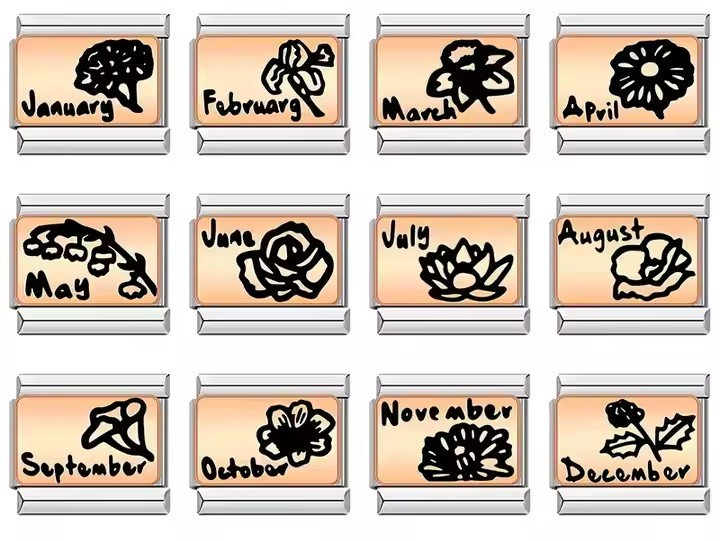 MONTHS CHARMS