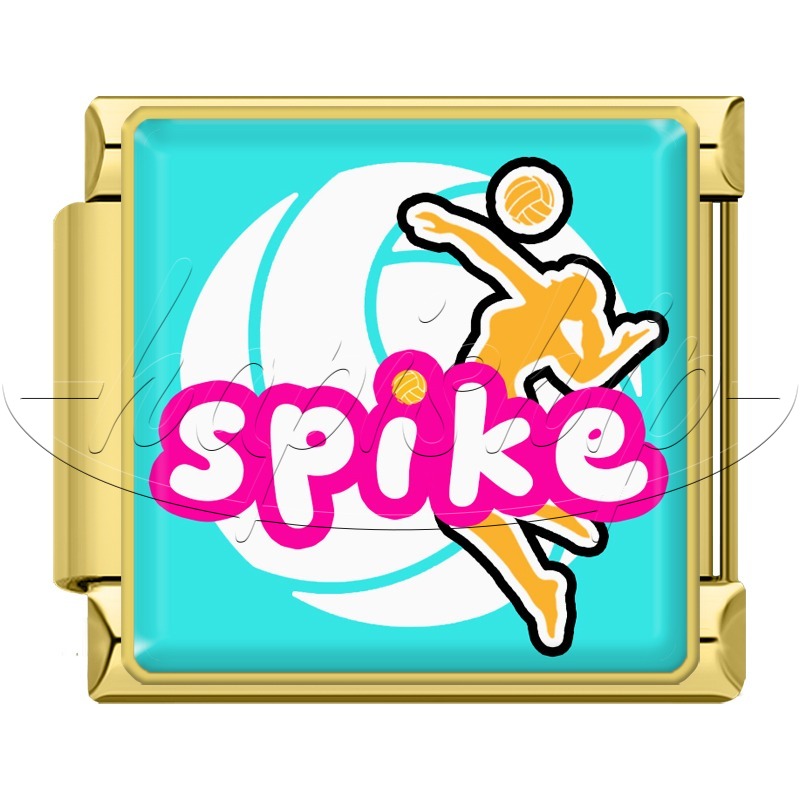 Sports Taichi Spike PIngpong TZ186