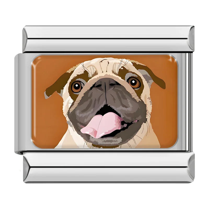 Animals Cat Dog TZ057