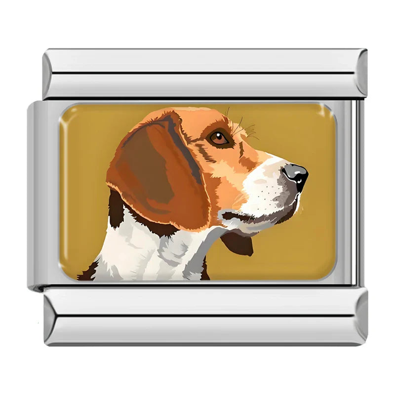 Animals Cat Dog TZ057
