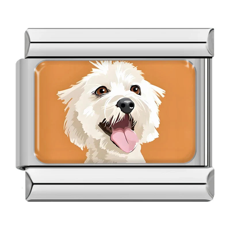 Animals Cat Dog TZ057