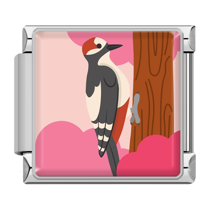 Animals Penguin Chameleon Woodpecker TZ154