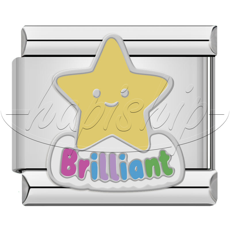 Aircraft Travel Star Flower Bee DJ1762