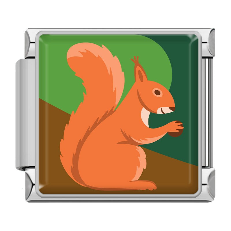 Animals Penguin Chameleon Woodpecker TZ154