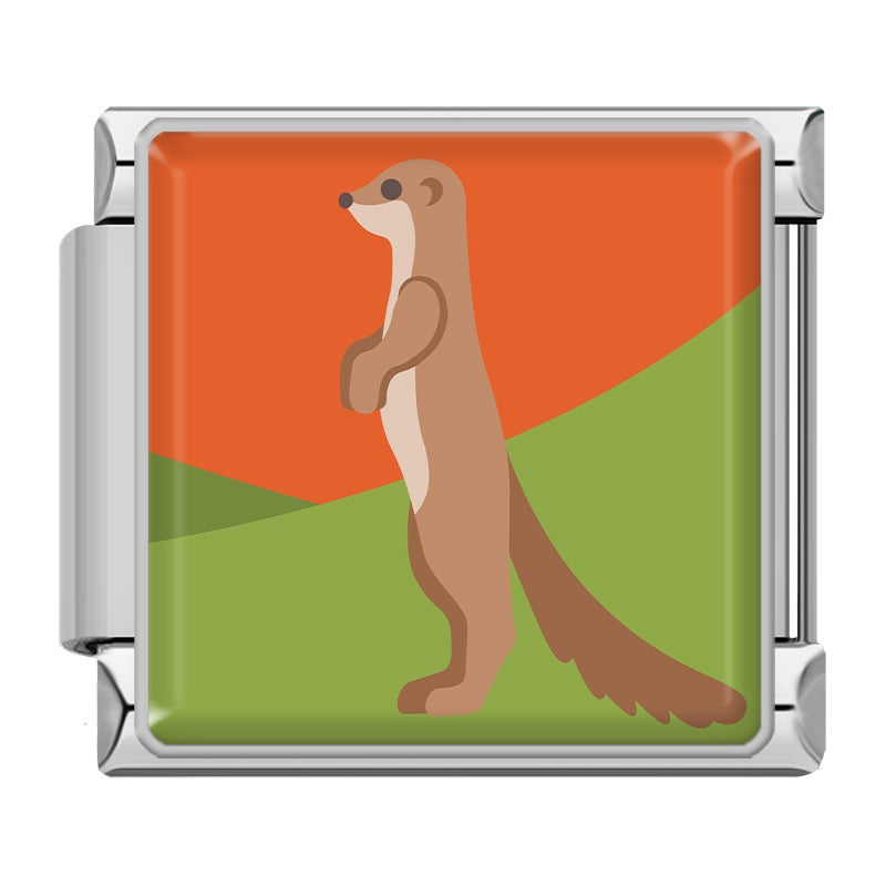 Animals Penguin Chameleon Woodpecker TZ154