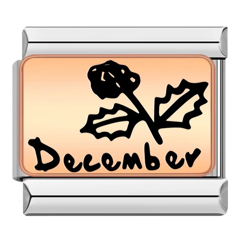 MONTHS CHARMS