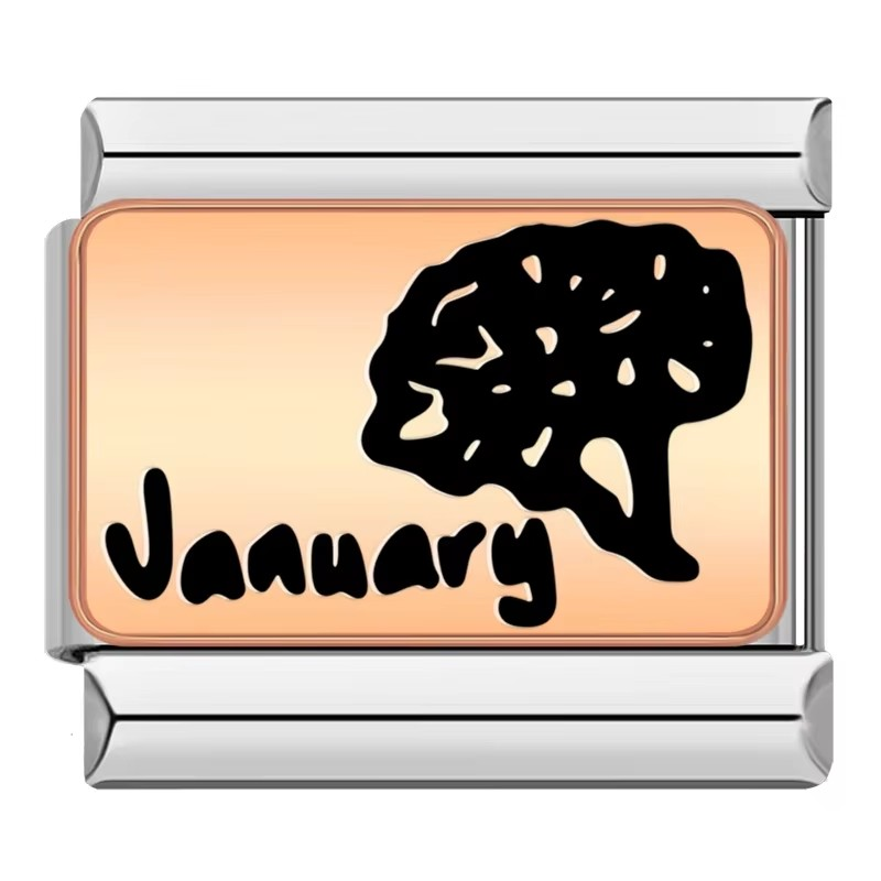 MONTHS CHARMS